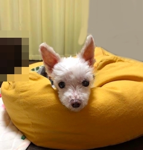 りーたん15歳.jpg