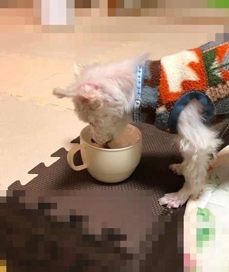 りーたんアイス3.jpg