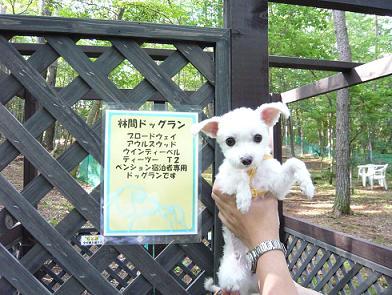2008夏休み 101.JPG