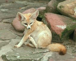 ふぇ2.jpg