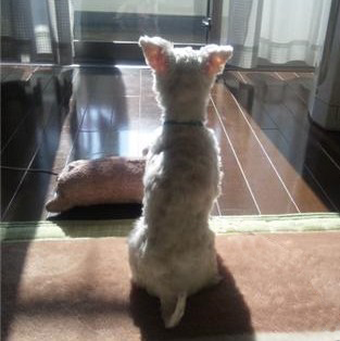 20100228.jpg