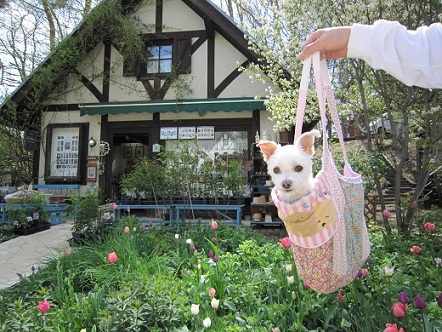 201105 010.JPG