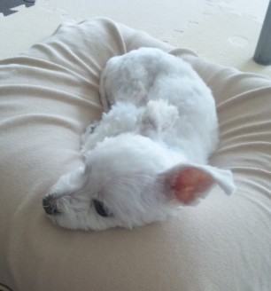 20110908a.jpg
