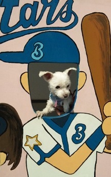 20110925b.jpg