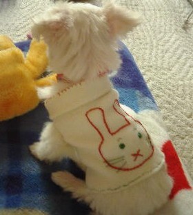 20110928a.jpg