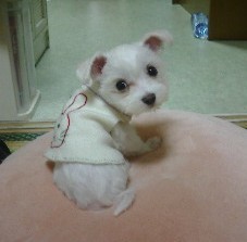 20110928b.jpg