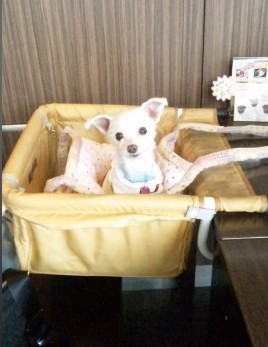 20120224.jpg