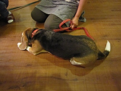 201209 051.JPG