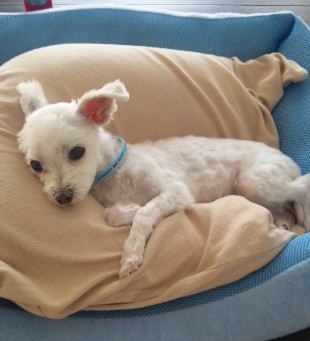 201209s.jpg