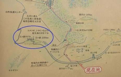 2016夏休 128.JPG
