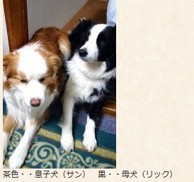リック&サン.jpg