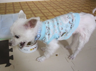 food 003.JPG