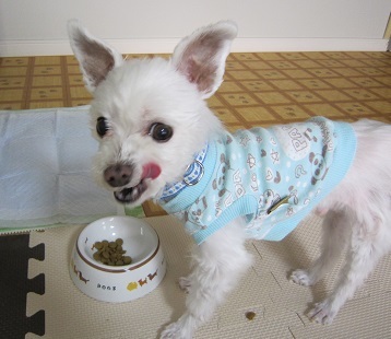 food 006.JPG